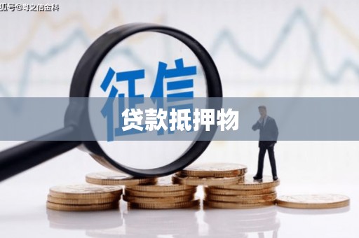 克孜勒苏贷款抵押物
